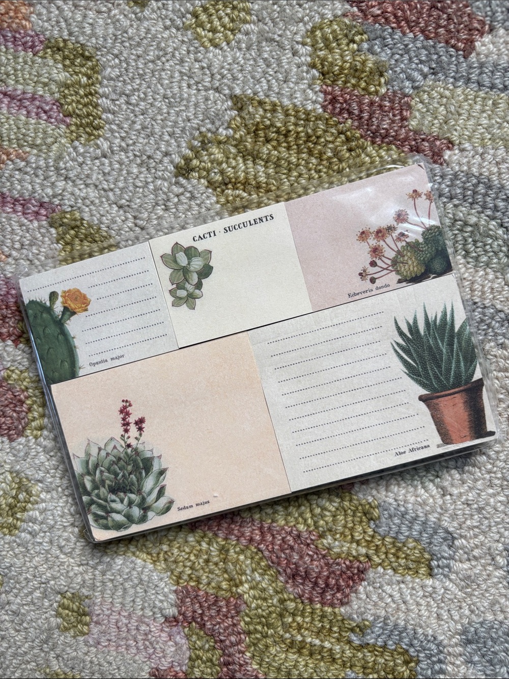 Cavallini &Co. Sticky Notes Succulents NWT 300 count 5 separate sticky note pads - Picture 2 of 16